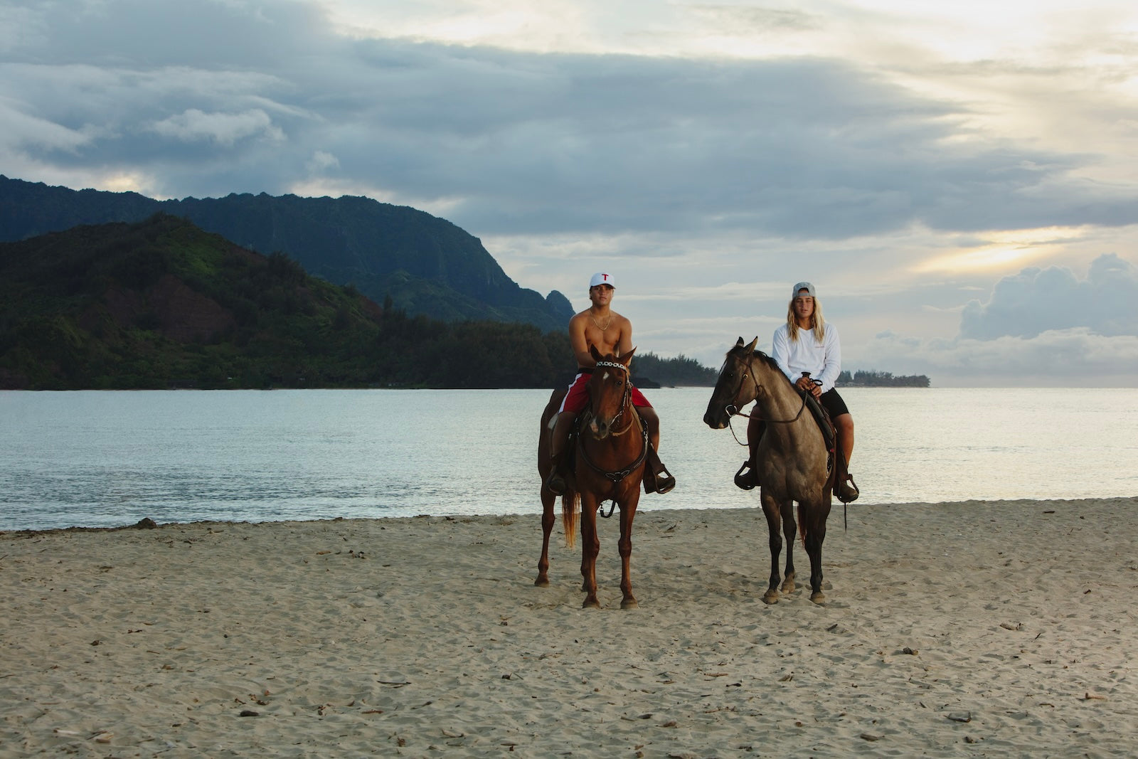 Boardshort-horse.jpg