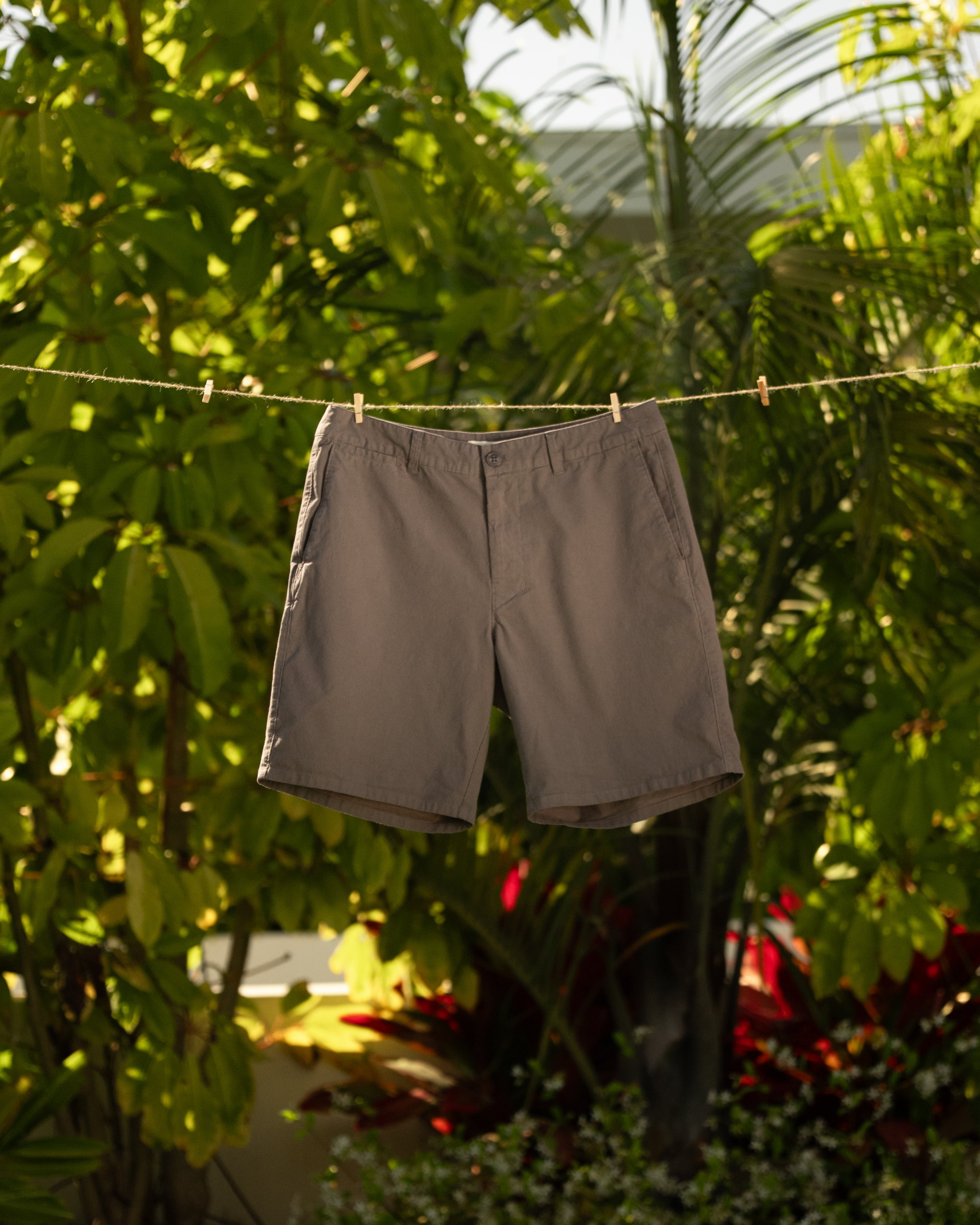 Classic Stripe Chino Short-TENORE