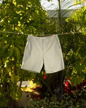 Classic Stripe Chino Short-TENORE