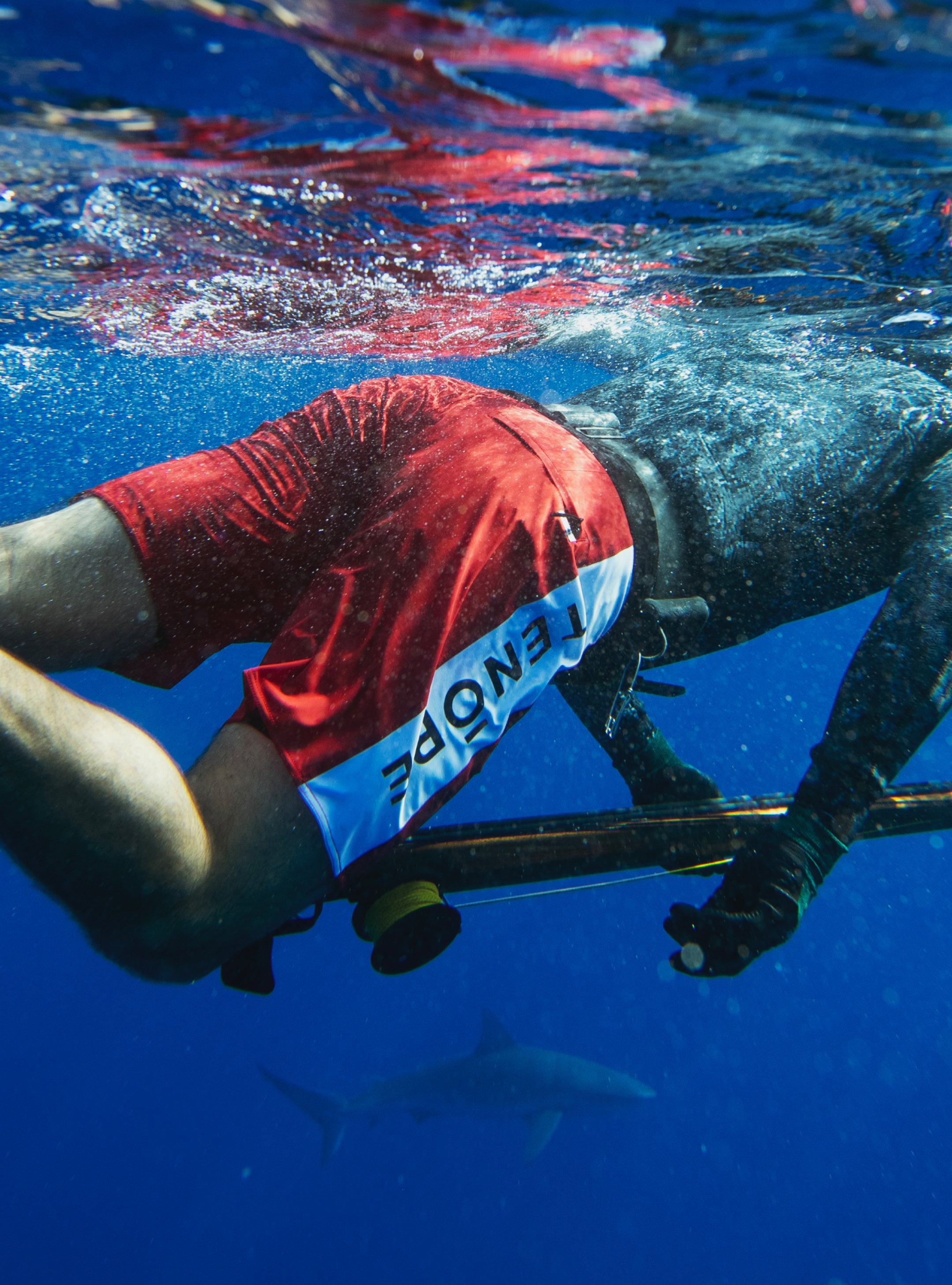 HP_M_Banner_Boardshorts_77838918-b8e6-4462-8319-5ba7b7b3bb5a.jpg