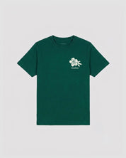 Lei Tee-TENORE