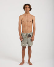 Print Day Short 6"-TENORE