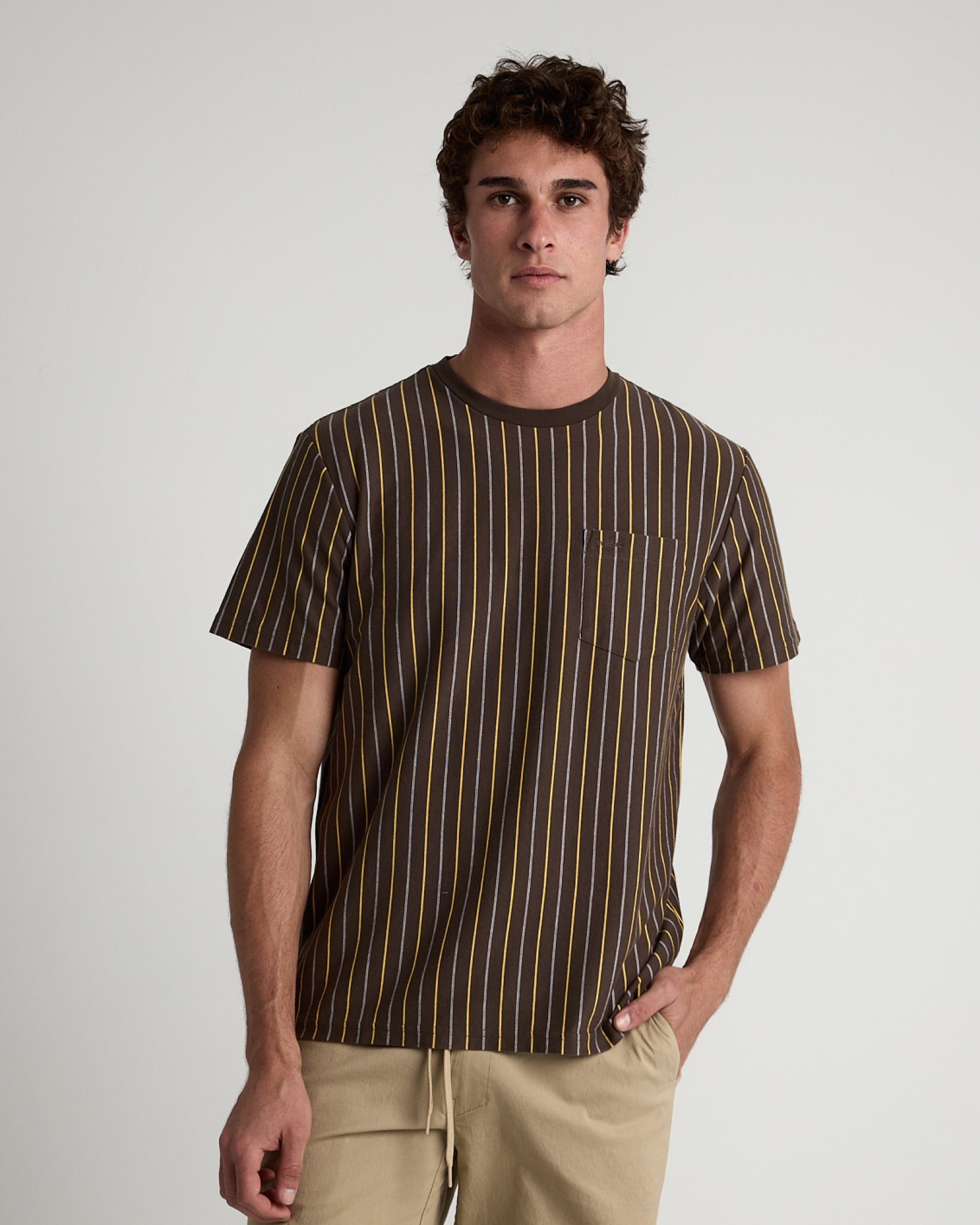 Vertical Yarn Dye Stripe Tee-TENORE